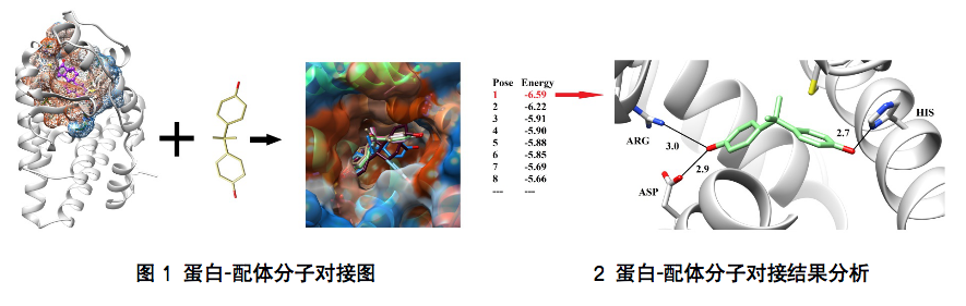 分子對接1