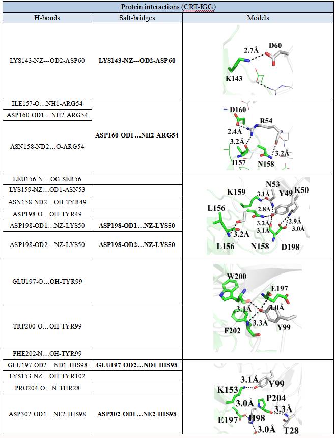 分子對接案例5