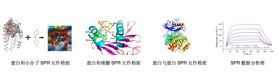 公司簡介2