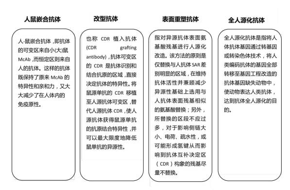 抗體人源化2