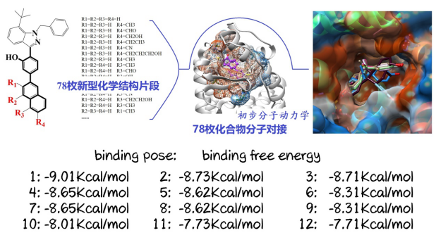 化合物反向尋靶10
