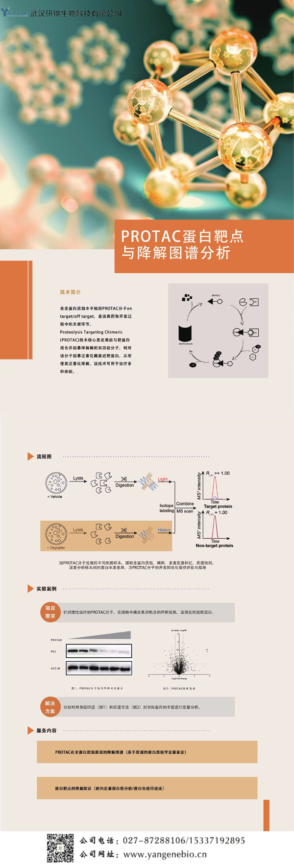 PROTC蛋白靶點與降解圖譜分析